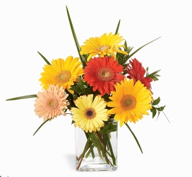 Happiness Bouquet from Maplehurst Florist, local flower shop in Essex Junction